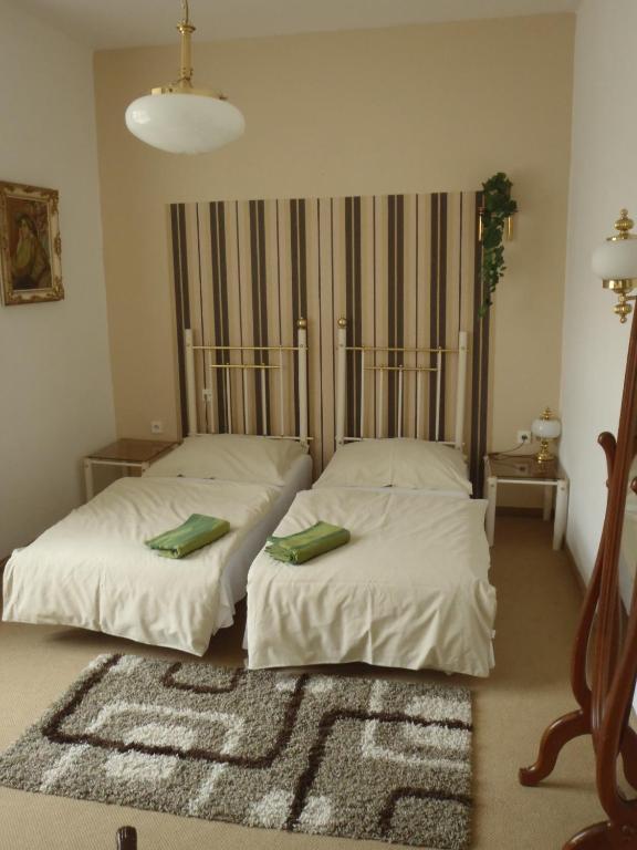 Hotel Green House Teplice Habitación foto